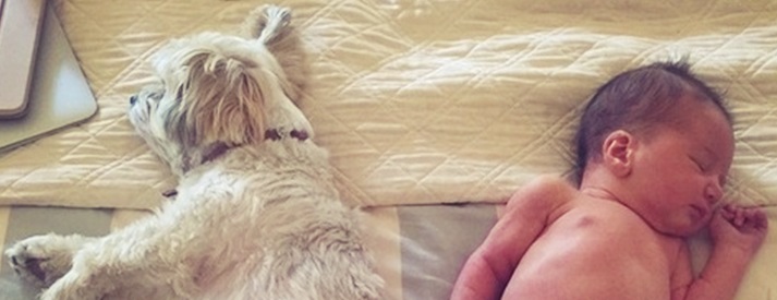 Instagram: Sweet Potato and Dashiel Eden grab a nap