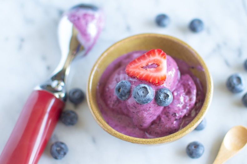 blueberry-frozen-yogurt