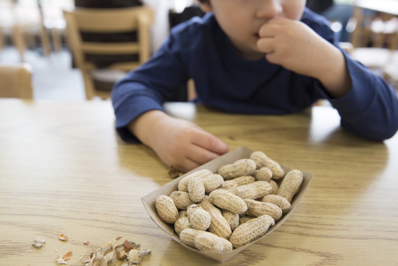 In Ireland, statistics show that approximately 5% of children and 3% of adults actually suffer from food allergies.