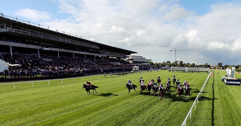 A view of the field in the third race of the day 12/9/2015